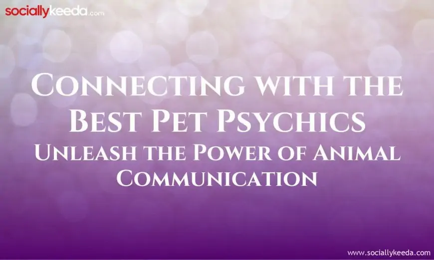 Connecting with the Best Pet Psychics: Unleash the Power of Animal Communication