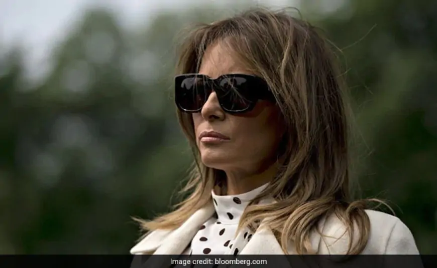 Money That Won Melania Trump NFT Came From Melania Trump's Wallet: Report