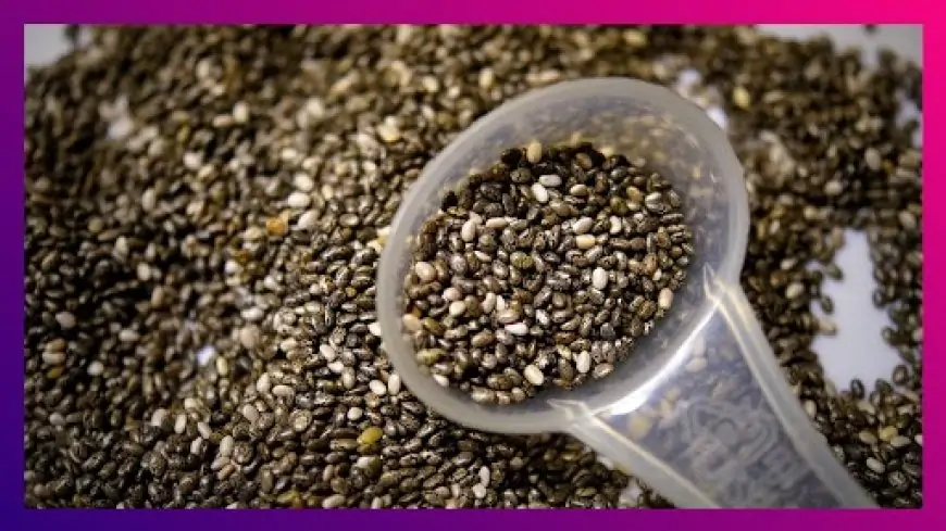 Chia Seeds Benefits: रोज दुधात भिजवलेल्या चिया च्या बिया खाल्याने होतील 'हे' आरोग्यदायी फायदे 