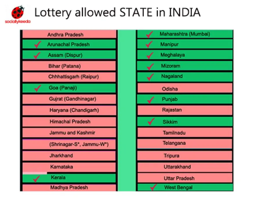 Kerala Lottery Today Result 16.5.2023 Win Win W 668 Winners List Live 3 PM