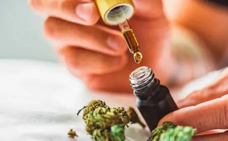 Effects Of CBD Oil For Your Brain And Body