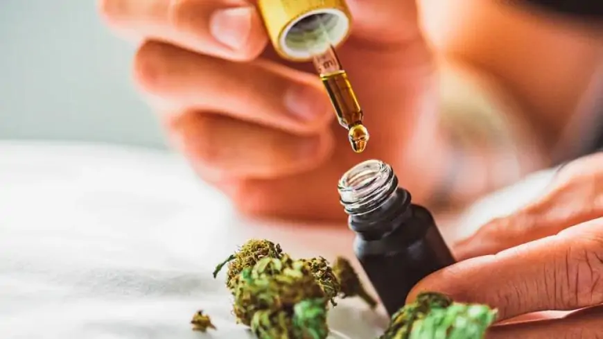 Effects Of CBD Oil For Your Brain And Body