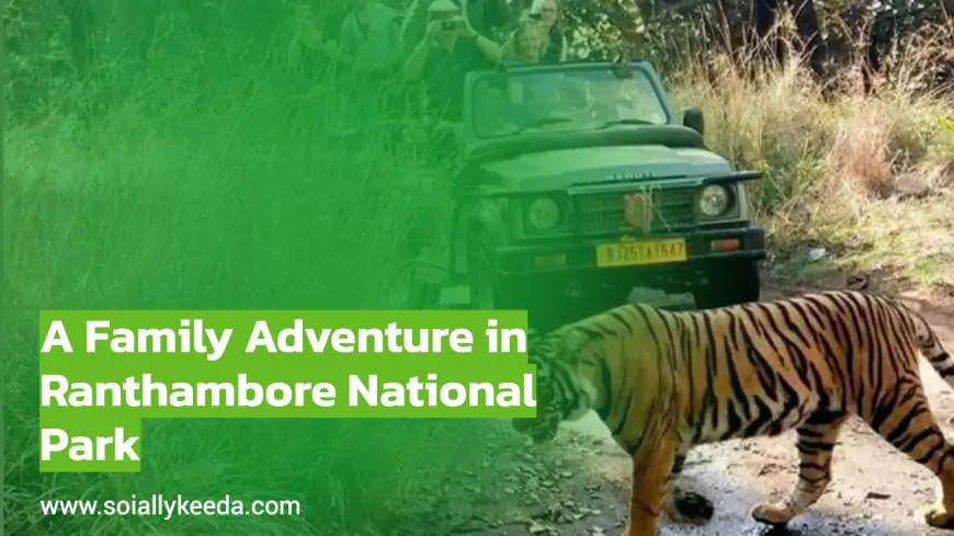 A Family Adventure in Ranthambore National Park