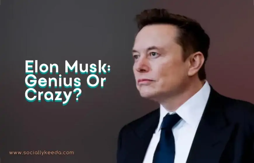 Elon Musk: Genius or Crazy? A Deep Dive into the Man Behind the Headlines