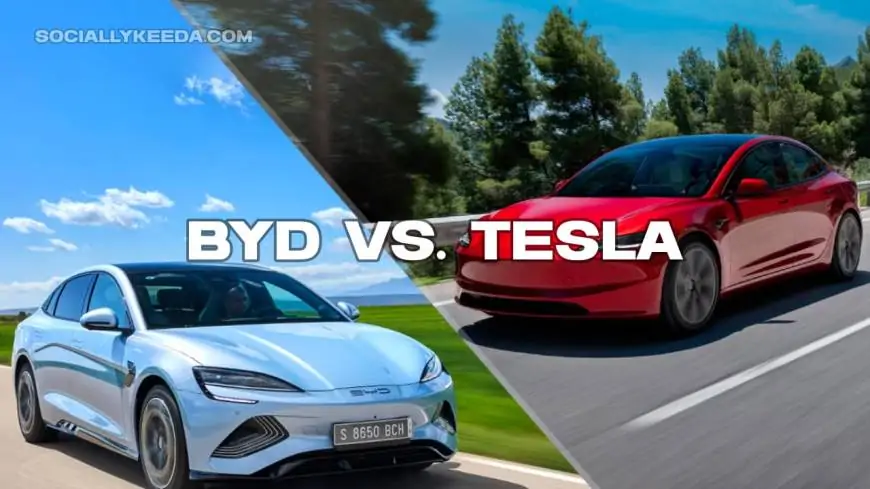 BYD vs. Tesla: The Story Behind China’s Fastest-Growing EV Company