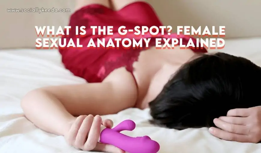 What is the G-Spot? Female Sexual Anatomy Explained