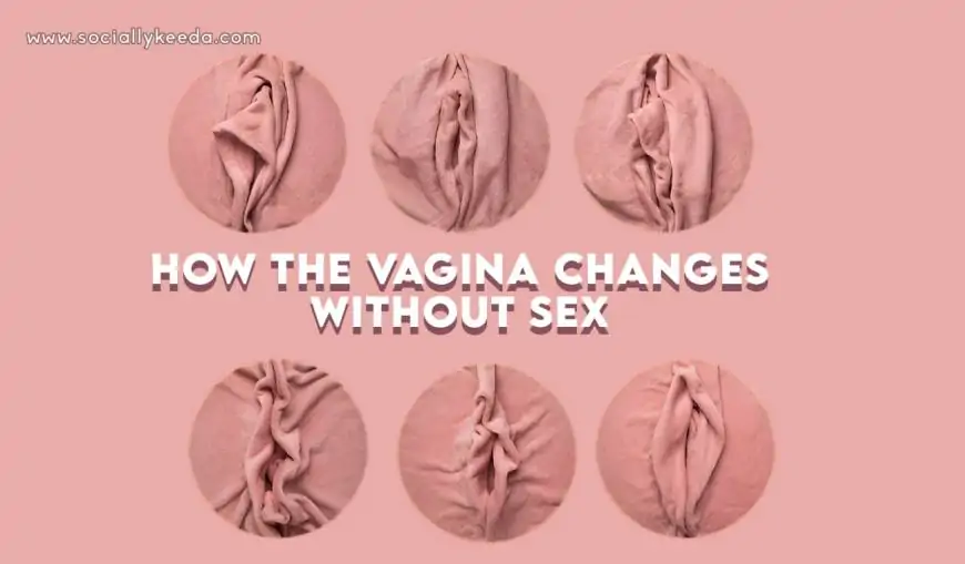 How the Vagina Changes Without Sex: 7 Surprising Facts You Need to Know