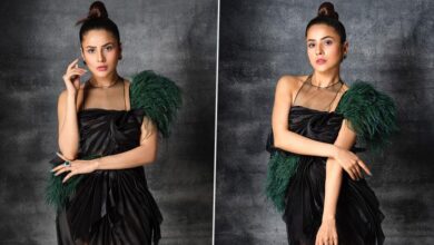Shehnaaz Gill Looks Gorgeous as She Poses in a Black Dress for Dabboo Ratnani’s Latest Photoshoot (View Pics)