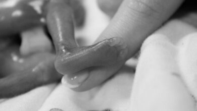 COVID-19 May Affect Foetus Even Without Infection in Placenta, Says US National Institutes of Health